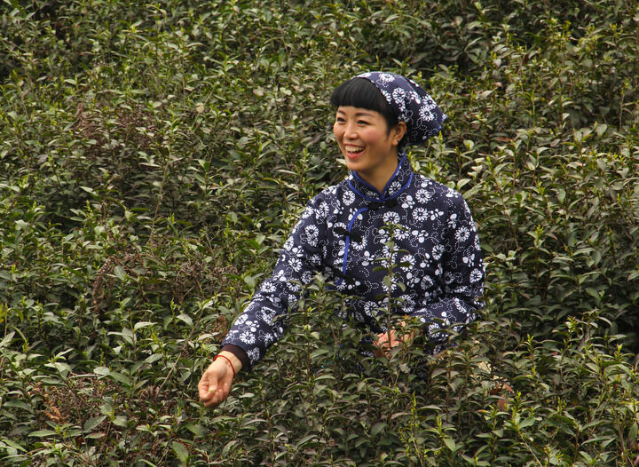 霓虹变态